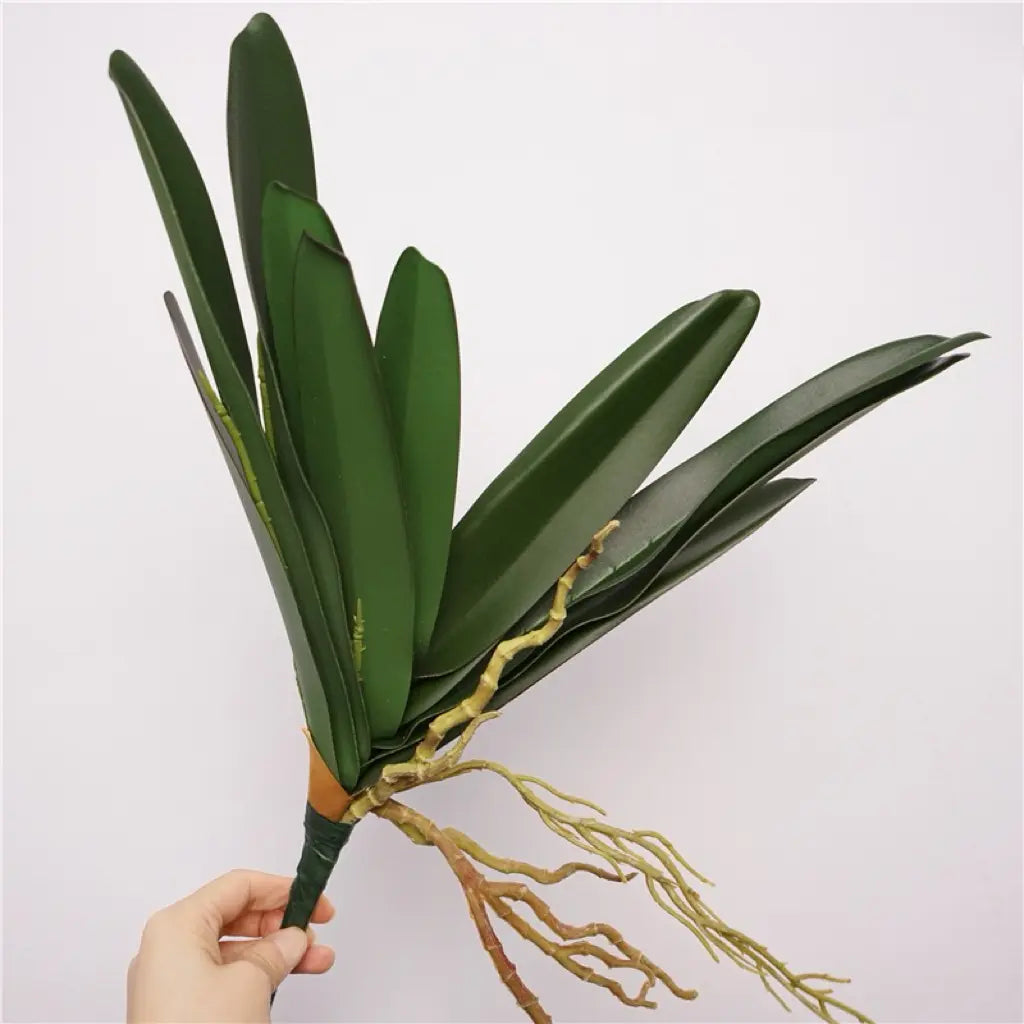 vanda 11 leaves 42cm natural background