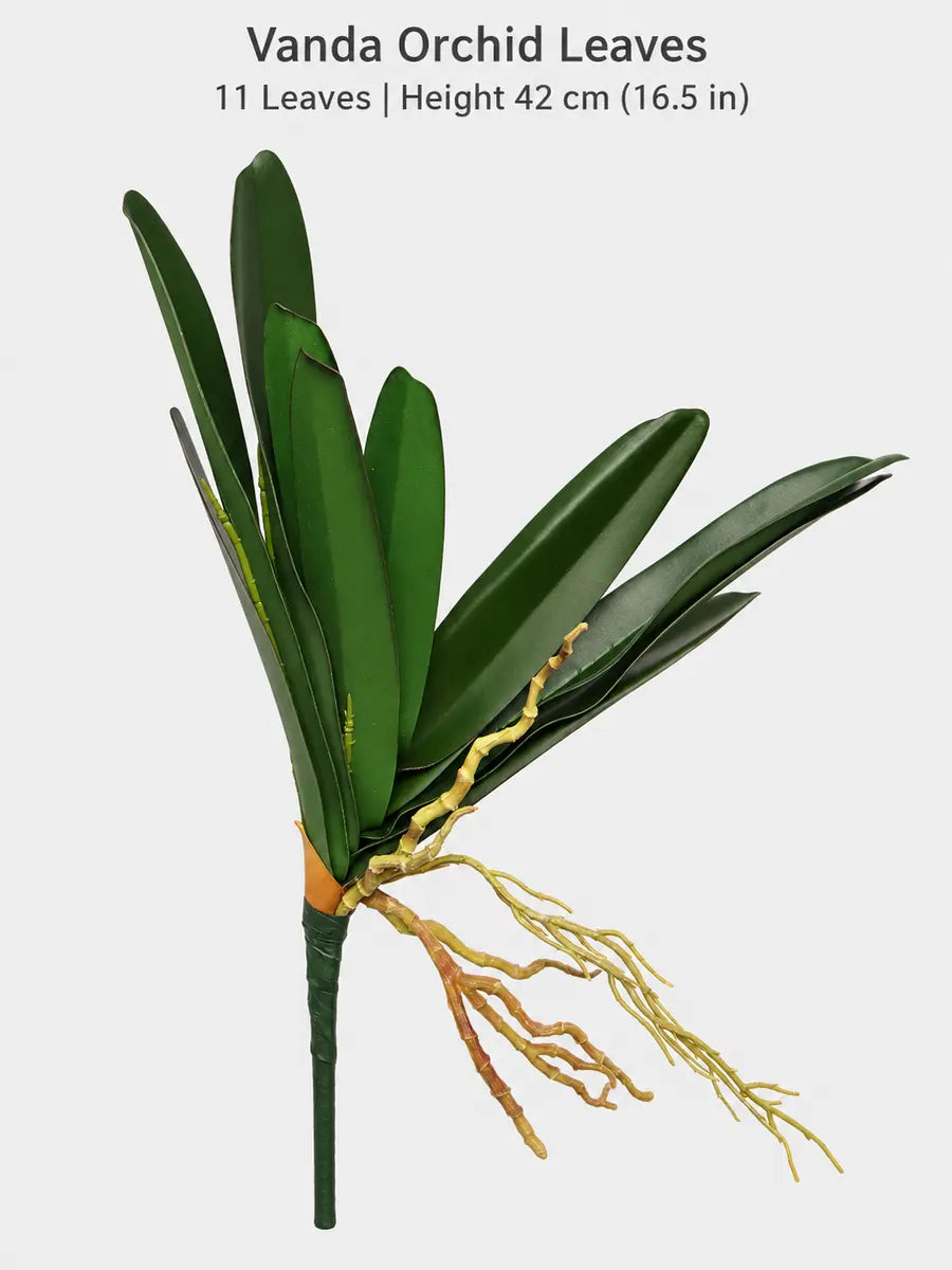 vanda 11 leaves 42cm