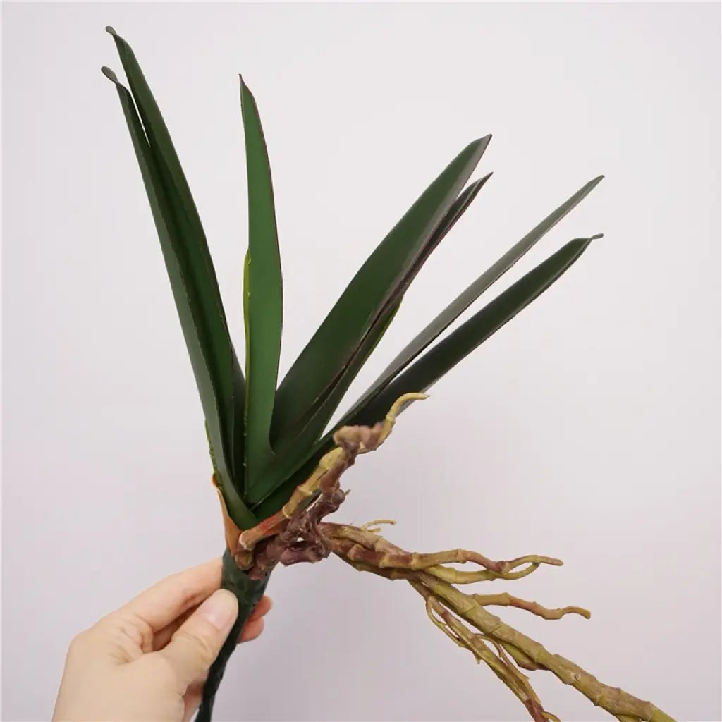 vanda 7 leaves 30cm natural background