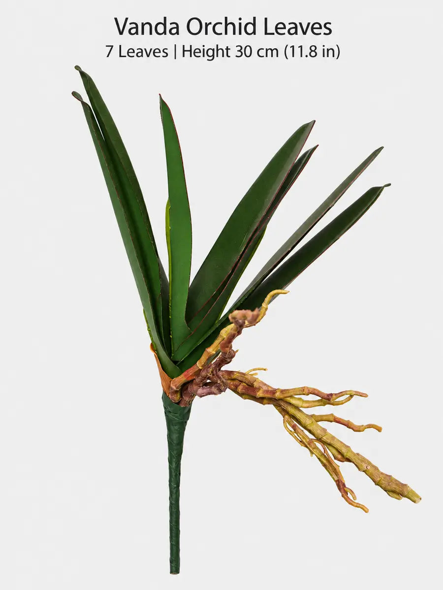 vanda 7 leaves 30cm