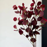 Vintage eucalyptus original natural photograph 4