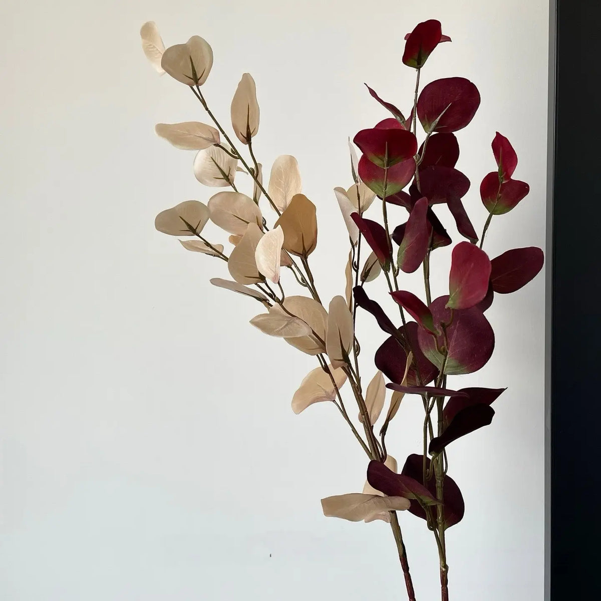 Vintage eucalyptus original natural photograph 6