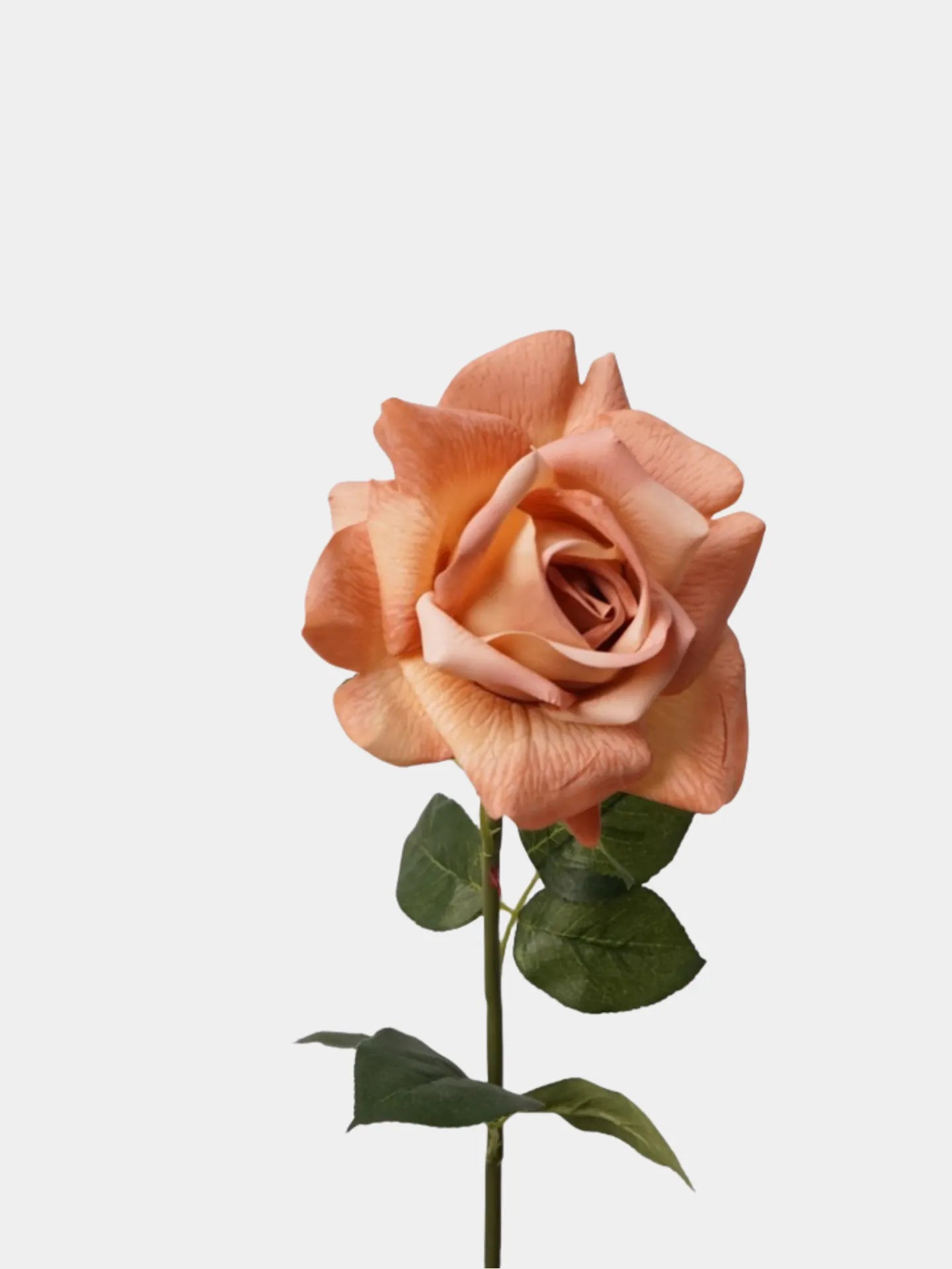 リアルタッチ ローズ ライトブラウン -28インチ