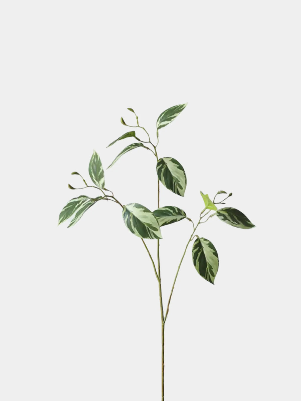 Faux Calathea Leaf Spray –29.5"