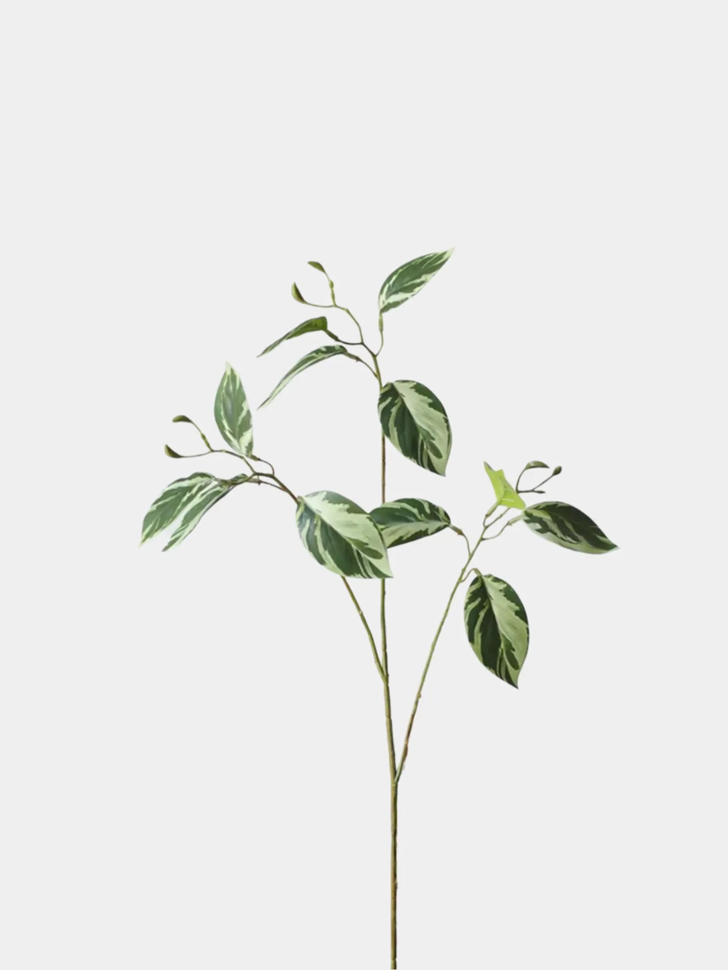 Faux Calathea Leaf Spray –29.5"