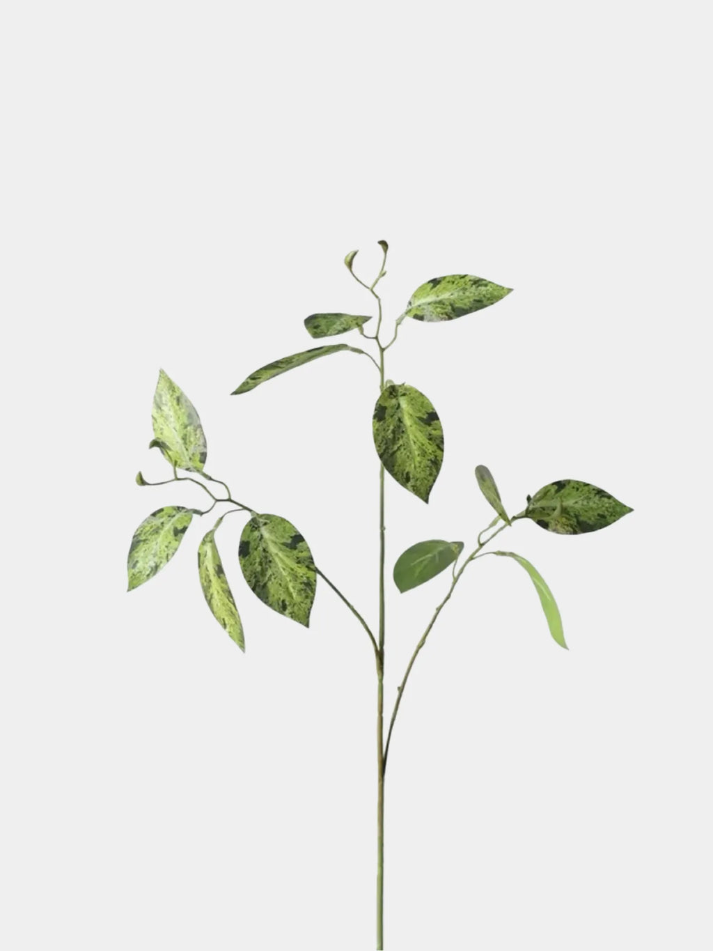 Faux Calathea Leaf Spray –29.5"