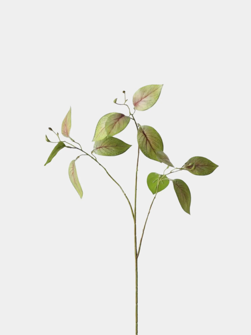 Faux Calathea Leaf Spray –29.5"