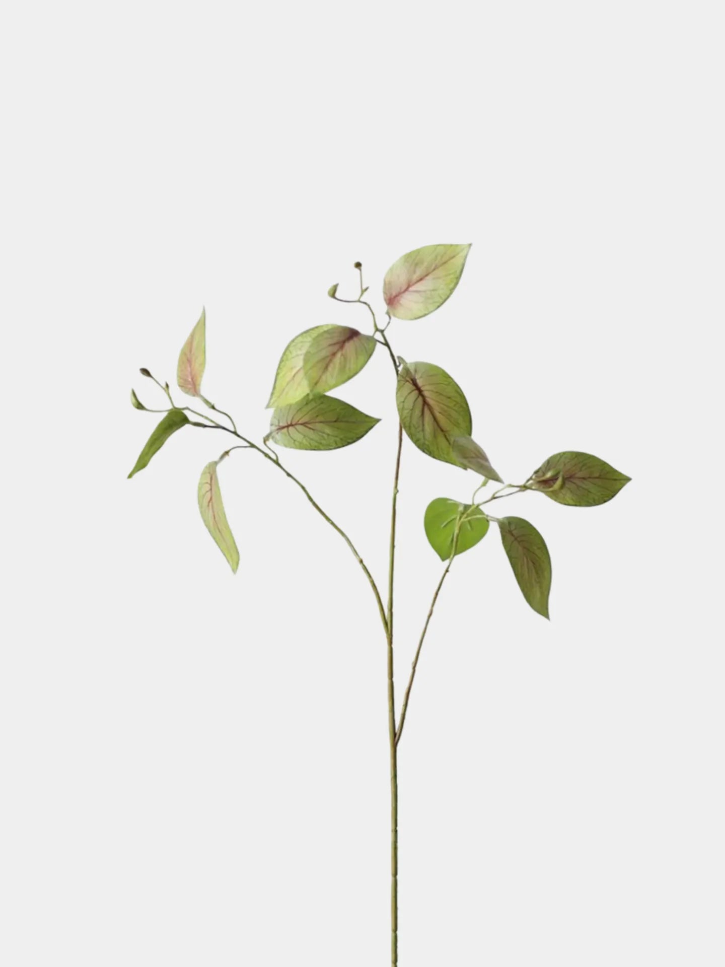 Faux Calathea Leaf Spray –29.5"