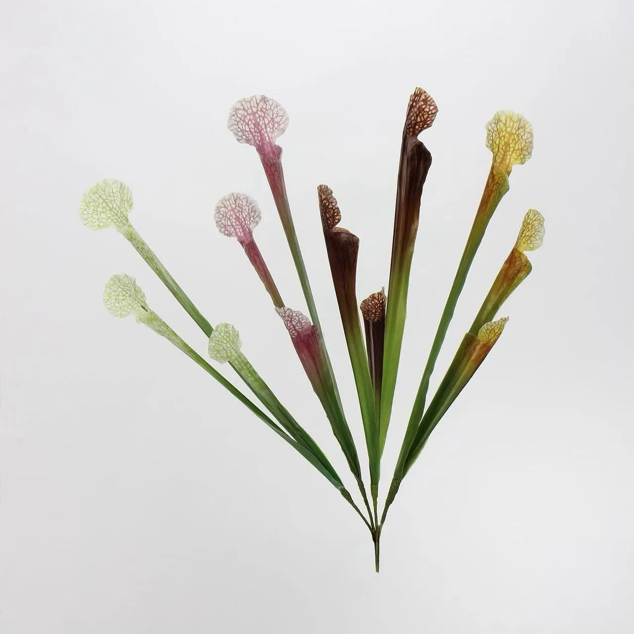 Faux Sarracenia Stem (Artificial Carnivorous Pitcher)