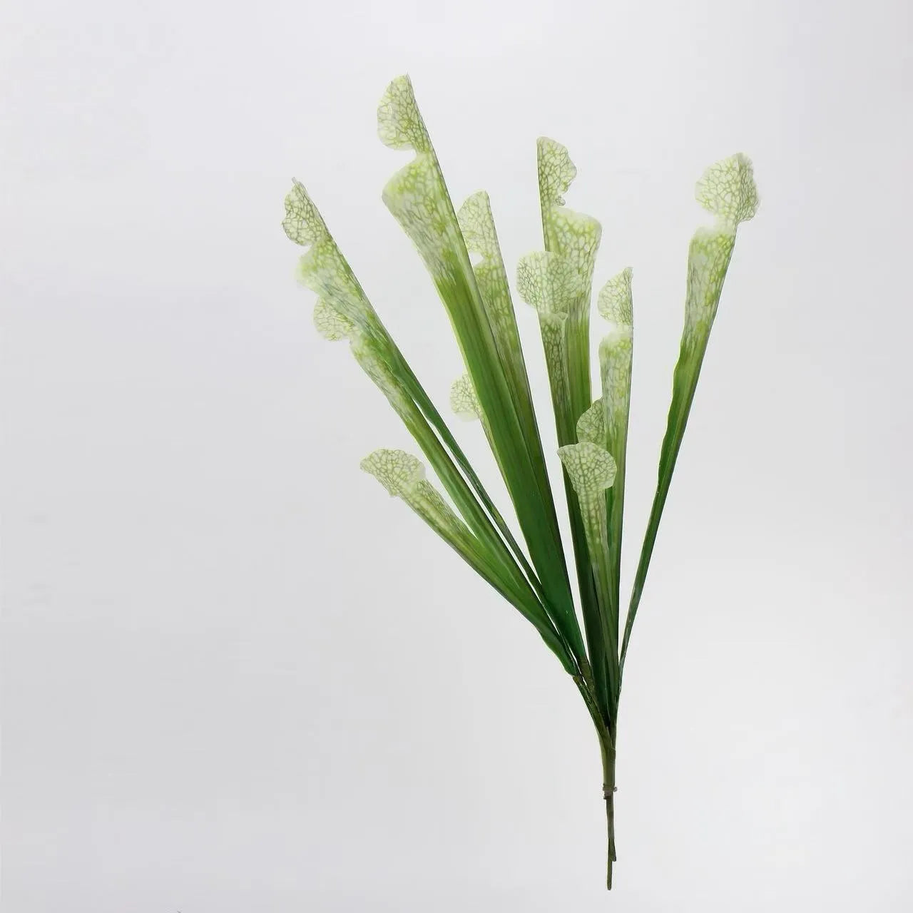 Faux Sarracenia Stem (Artificial Carnivorous Pitcher)