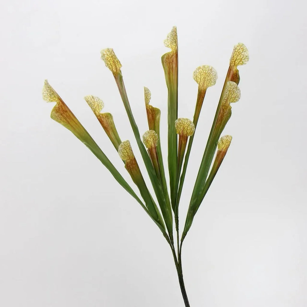 Faux Sarracenia Stem (Artificial Carnivorous Pitcher)