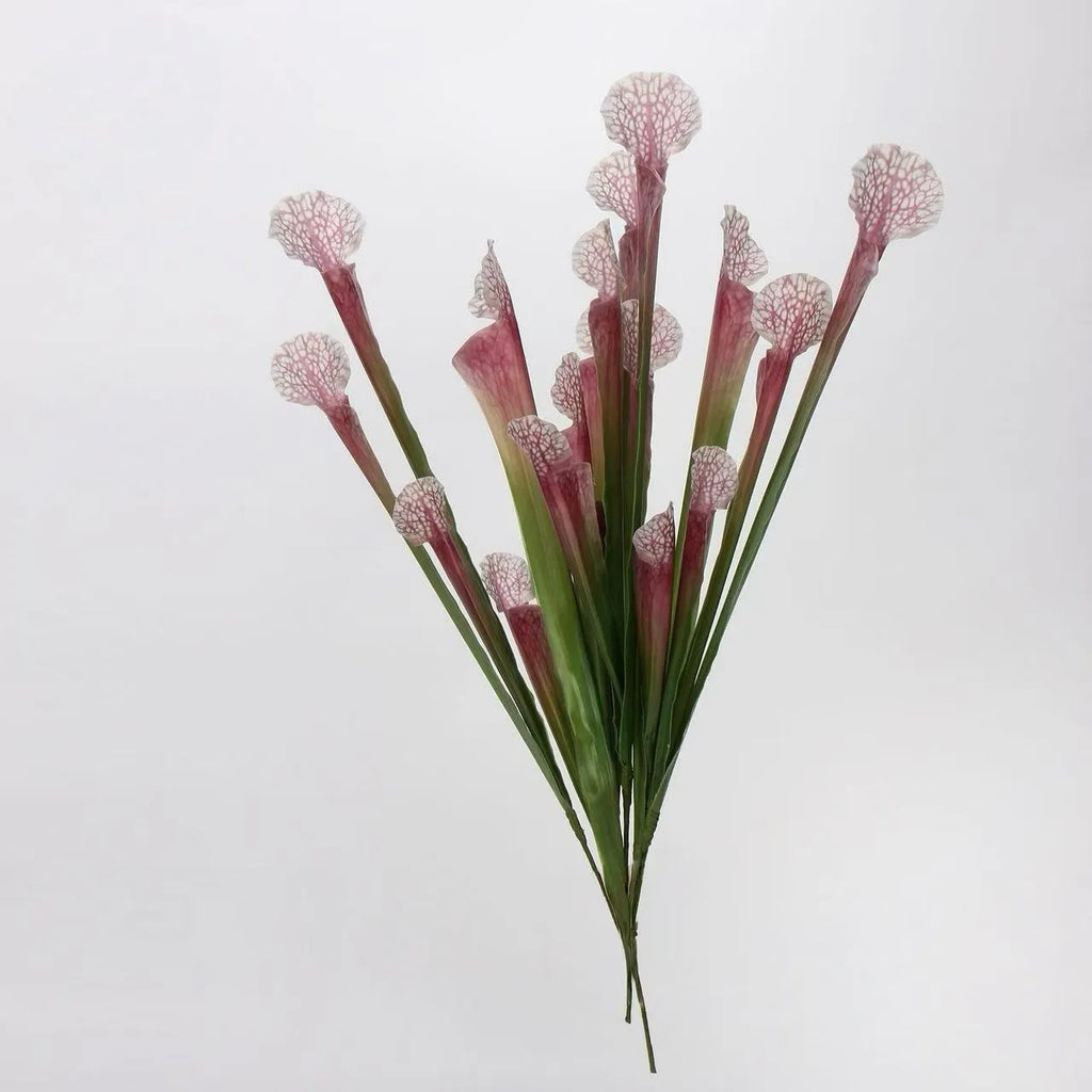 Faux Sarracenia Stem (Artificial Carnivorous Pitcher)