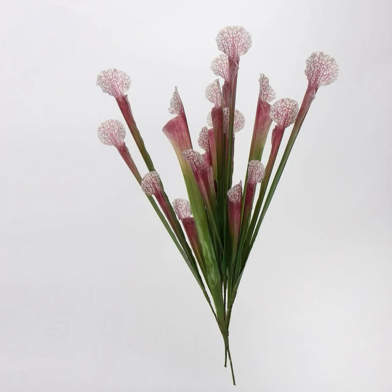 Faux Sarracenia Stem (Artificial Carnivorous Pitcher)