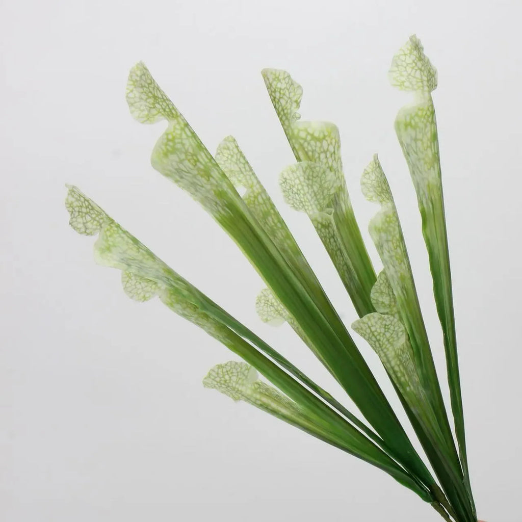 Faux Sarracenia Stem (Artificial Carnivorous Pitcher)