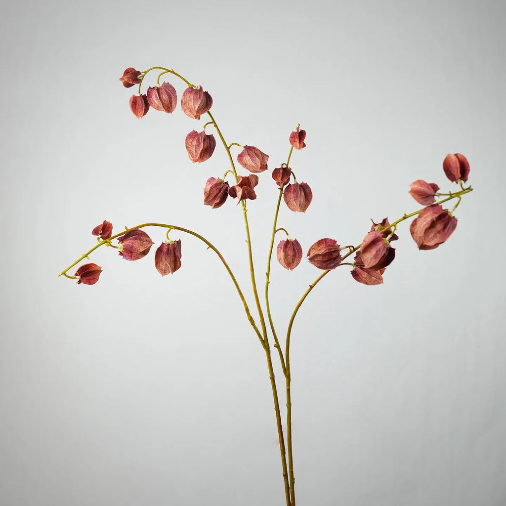 Faux Lantern Fruit Stem -Burgundy 35"