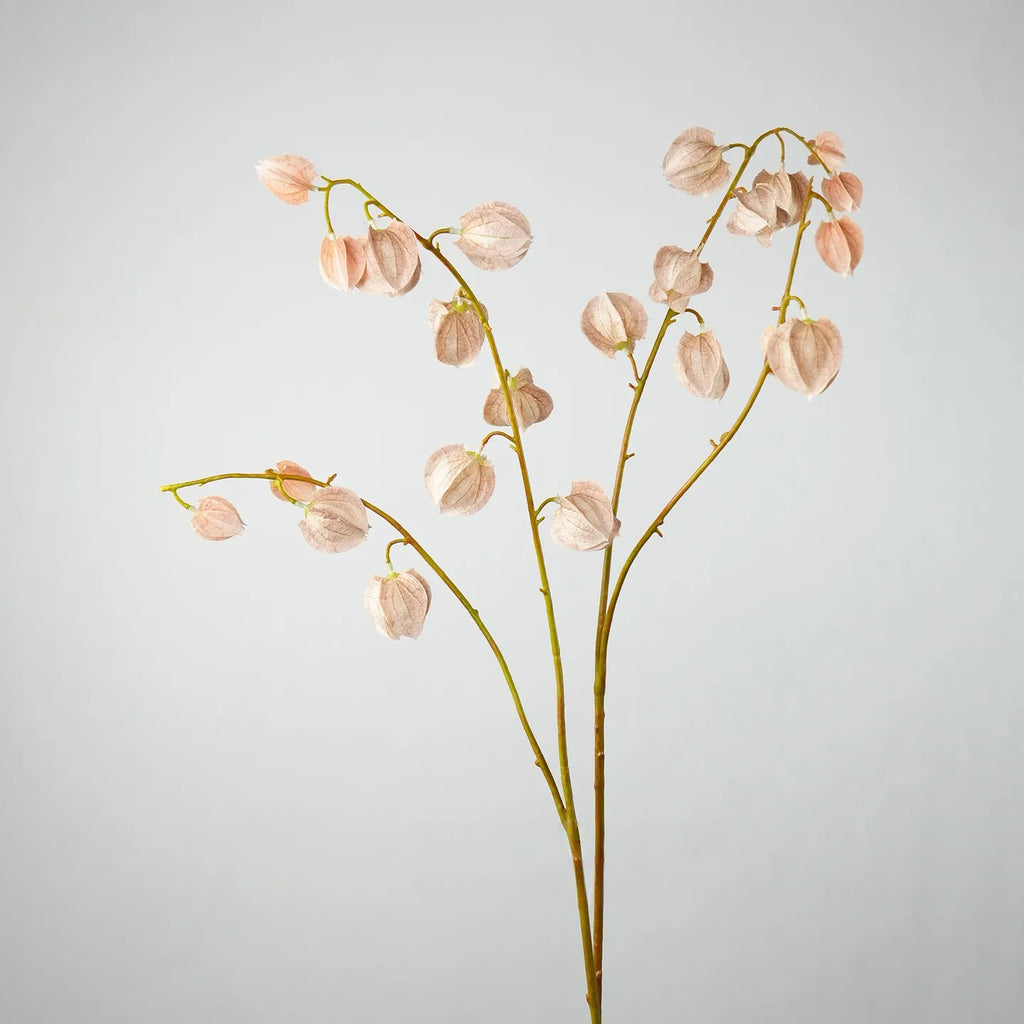 Faux Lantern Fruit Stem -Nude Pink 35"