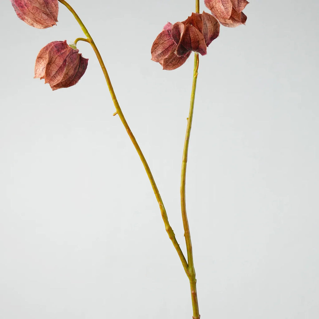 Faux Lantern Fruit Stem -Burgundy 35"