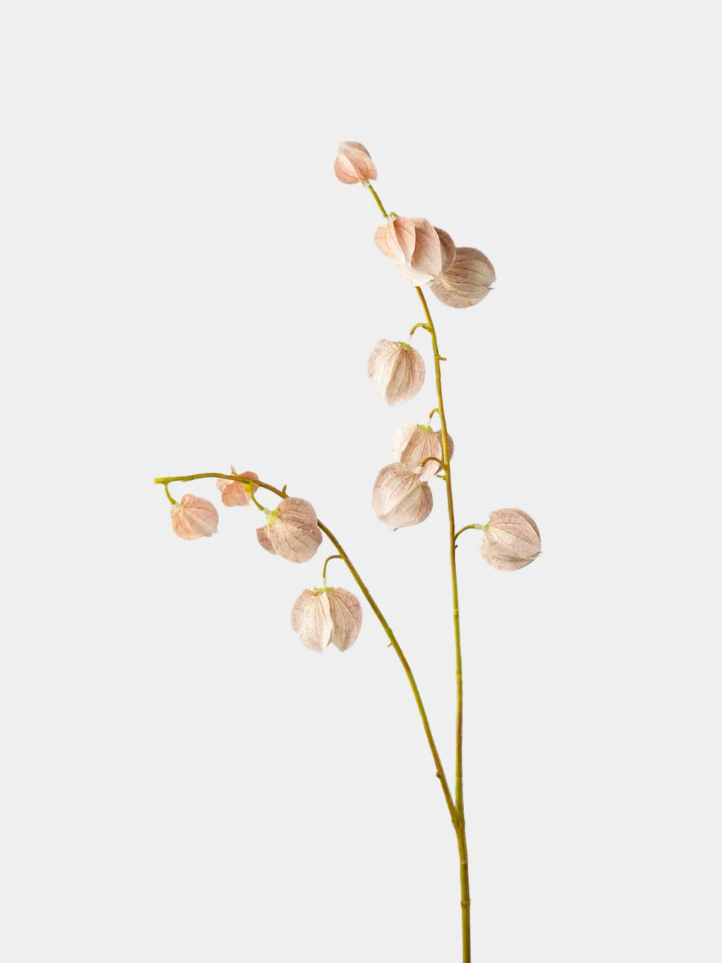 Faux Lantern Fruit Stem -Nude Pink 35"