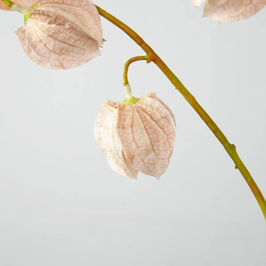 Faux Lantern Fruit Stem -Nude Pink 35"