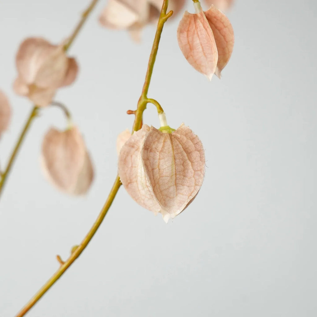 Faux Lantern Fruit Stem -Nude Pink 35"