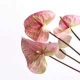 人工アンスリウムステム