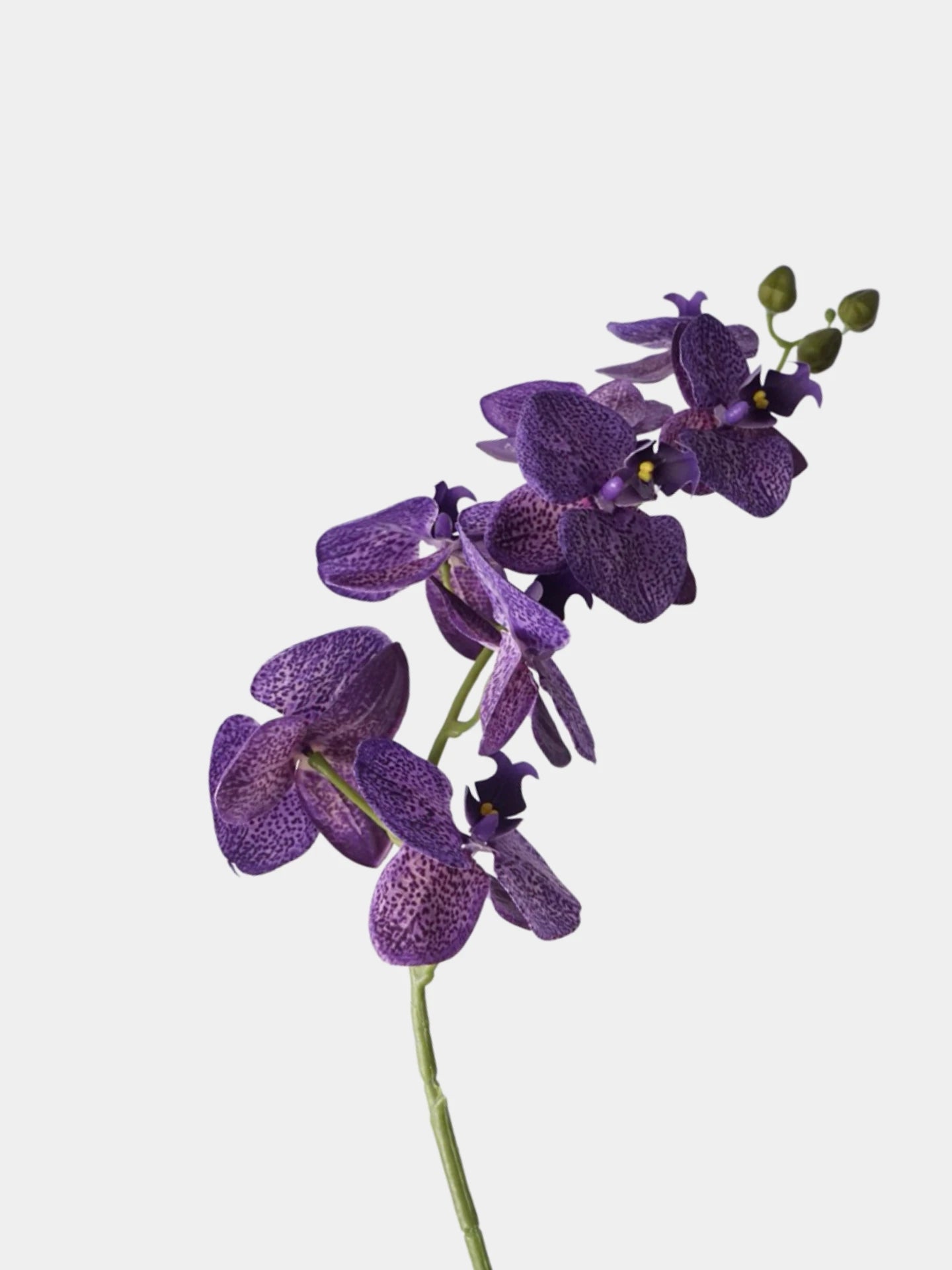 Real Touch Phalaenopsis Moth Orchid Stem– 31 "