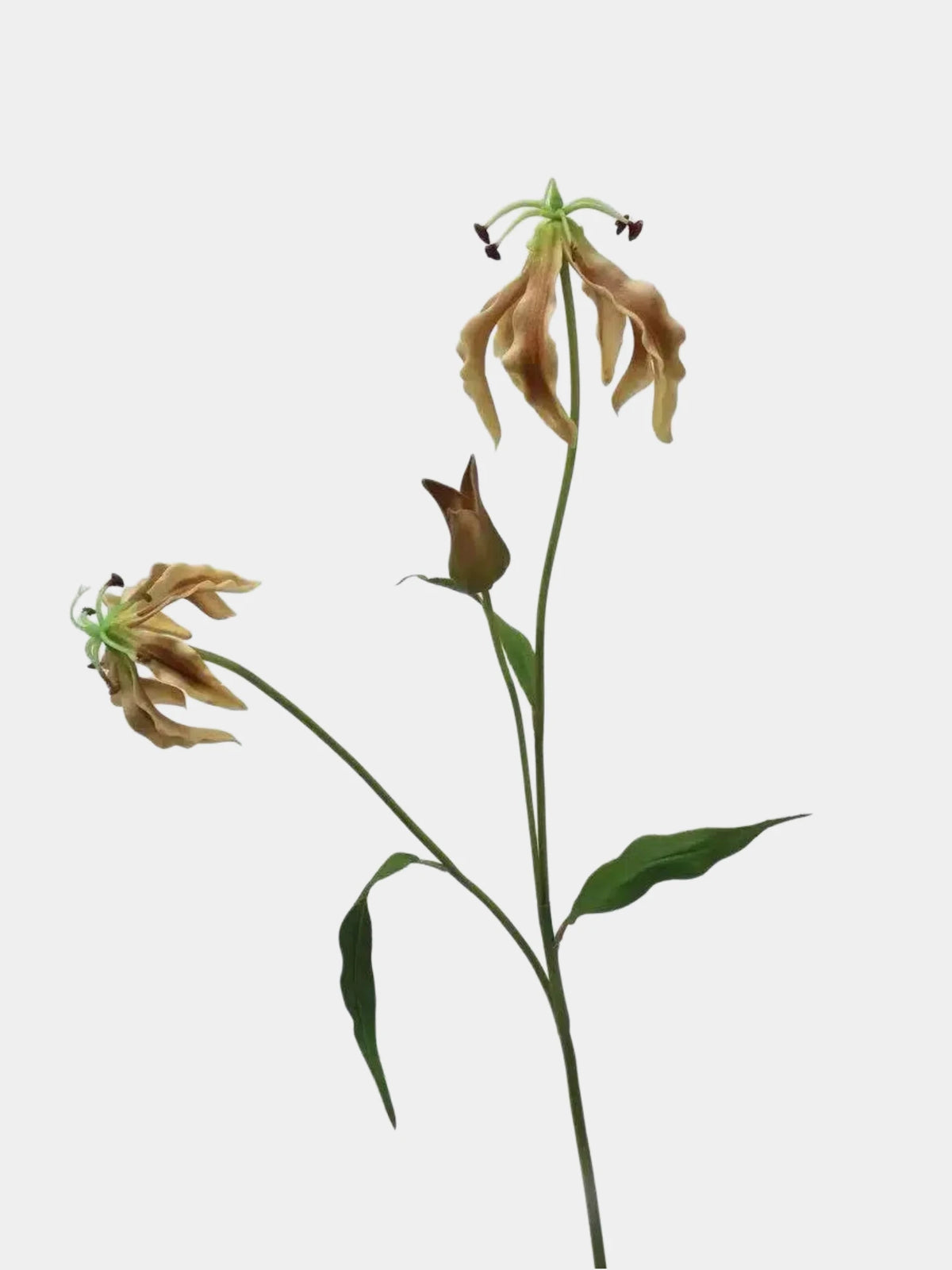 Künstliche Ruhmeskrone/Flammenlilie Stiel – 75 cm
