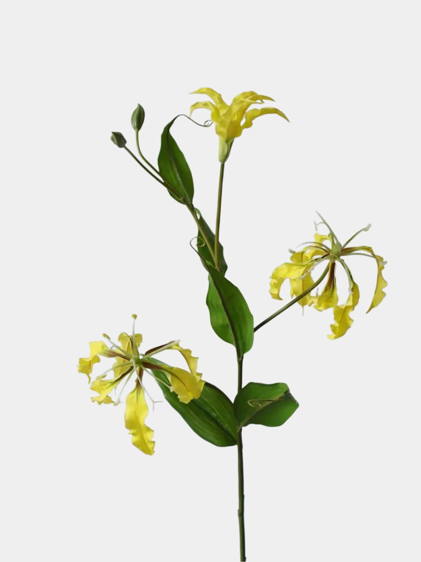 Artificial Gloriosa Lily Stem – 75 cm