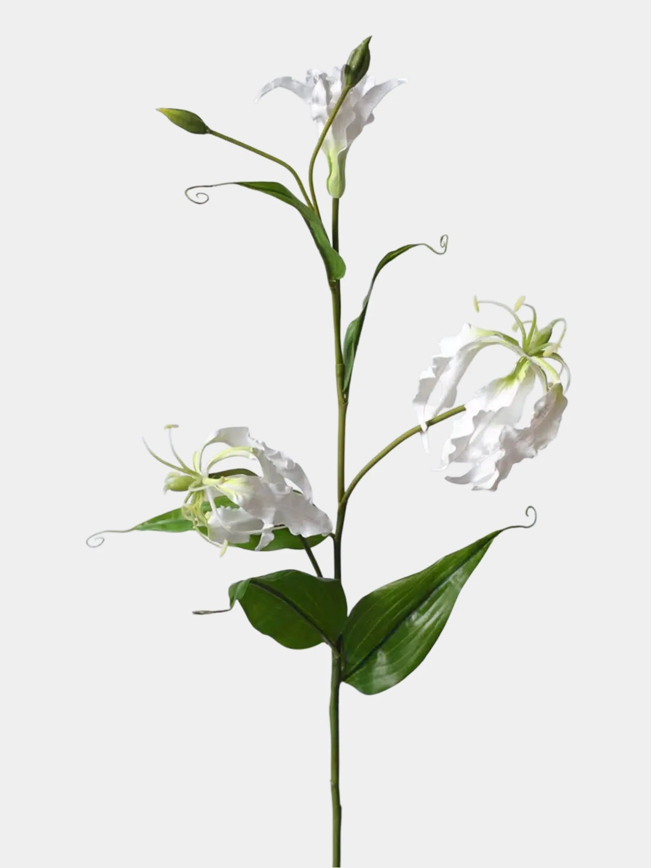 Artificial Gloriosa Lily Stem – 75 cm