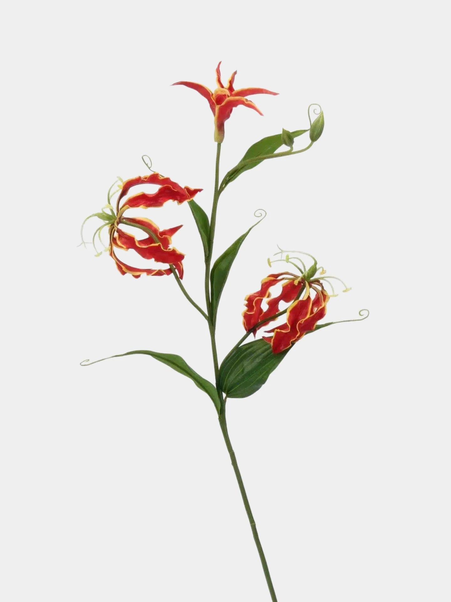 Artificial Gloriosa Lily Stem – 75 cm