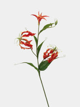 Artificial Gloriosa Lily Stem – 75 cm