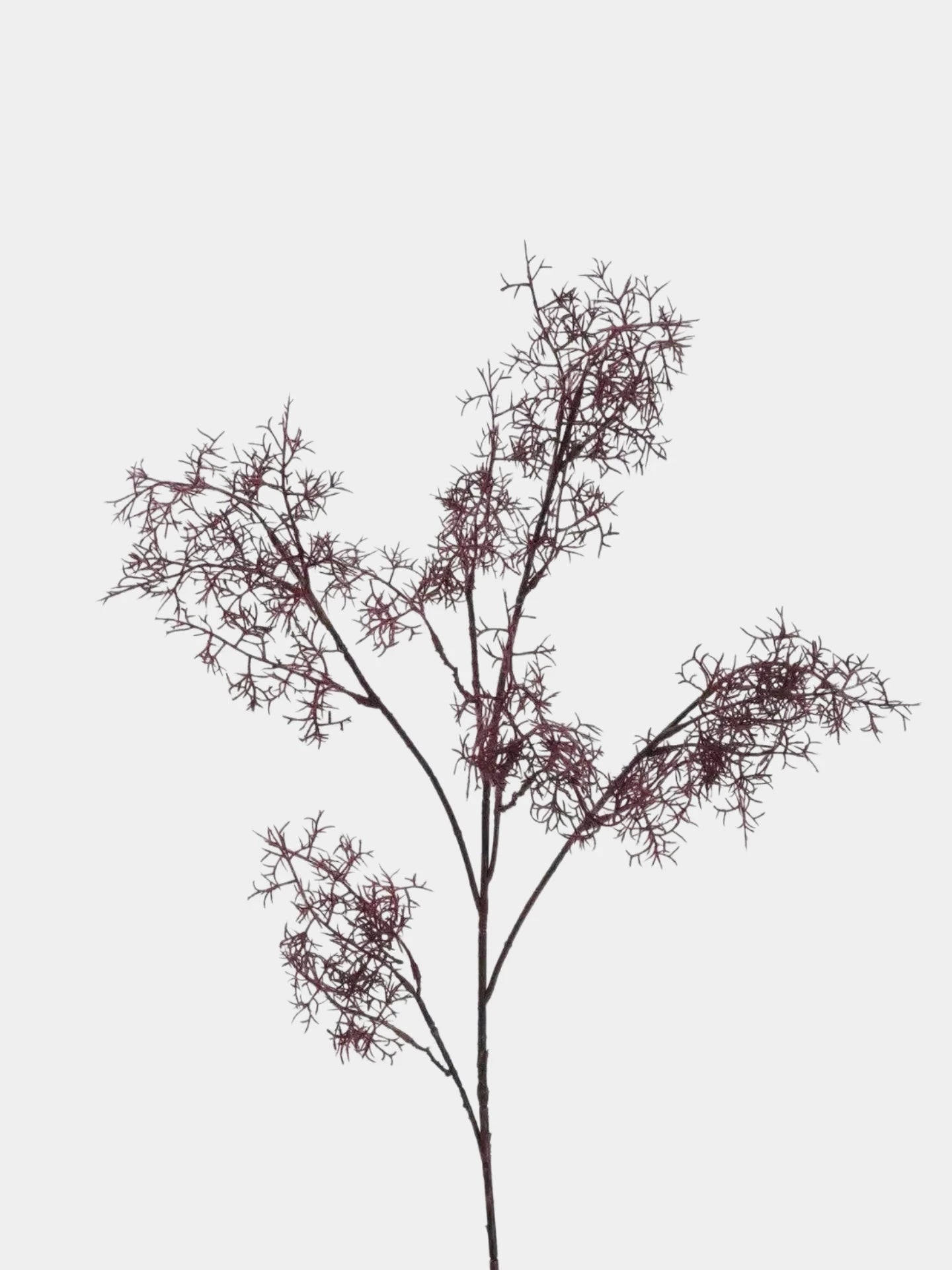 Faux Smoke Bush Branch – 95 cm