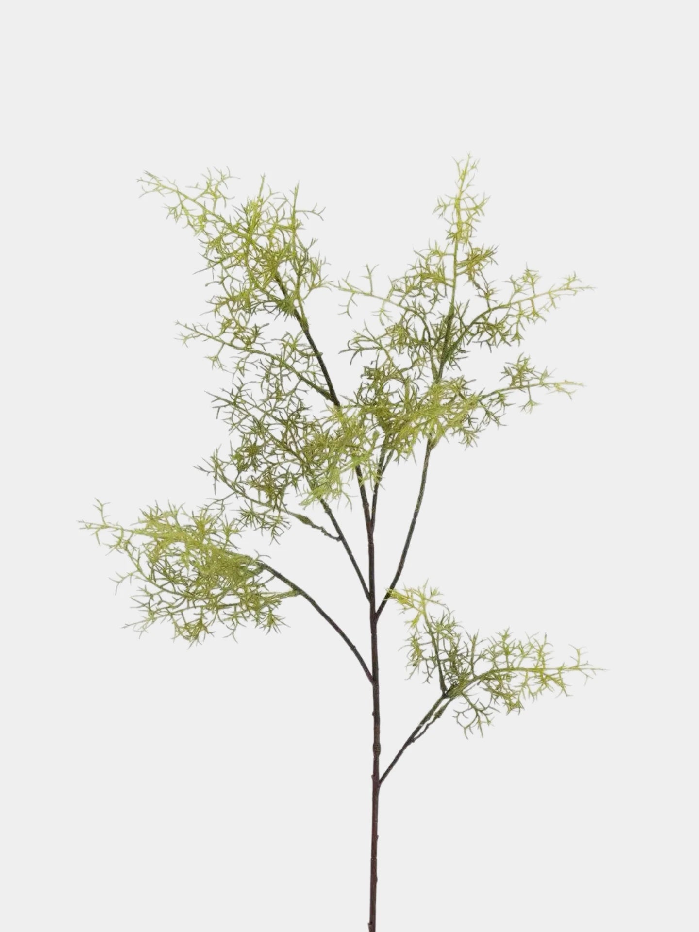 Faux Smoke Bush Branch – 95 cm