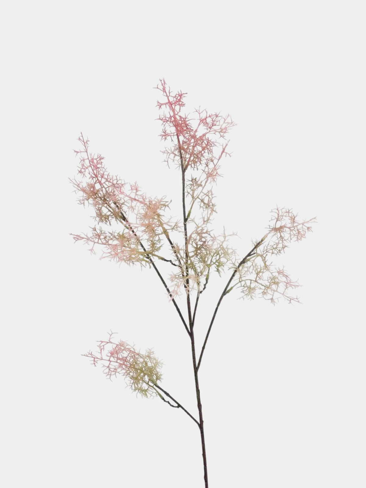 Faux Smoke Bush Branch – 95 cm