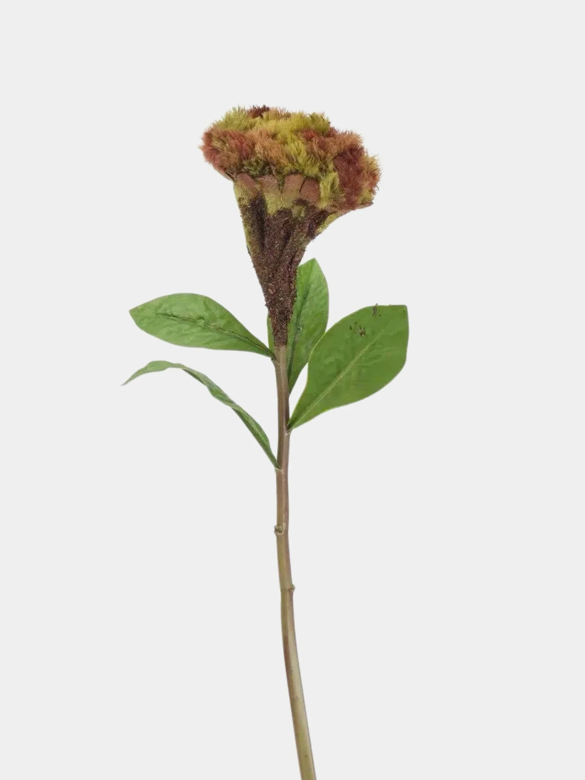 Faux Celosia Cockscomb Stem – 58 cm