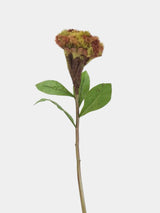 Faux Celosia Cockscomb Stem – 58 cm