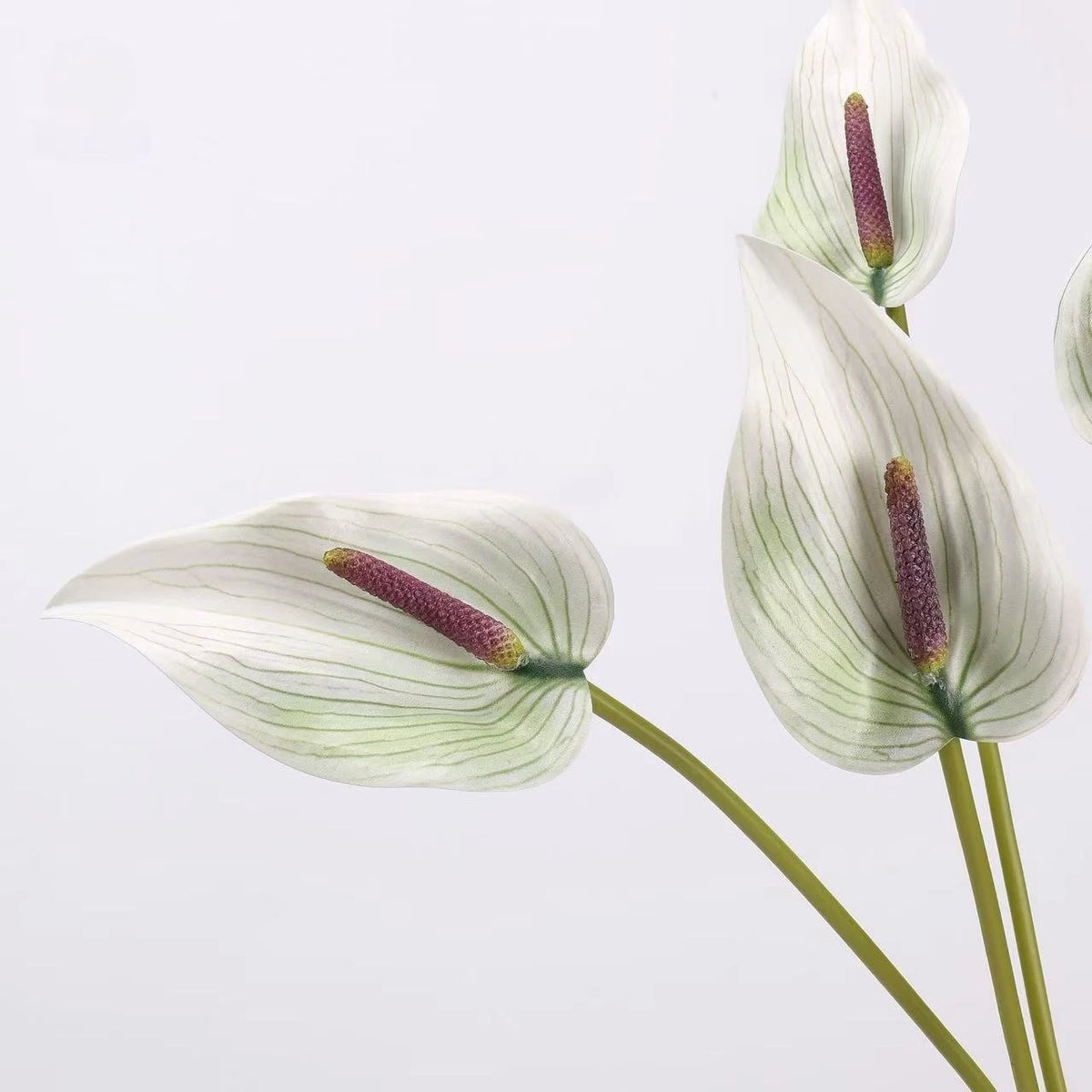 Real Touch Anthurium Flower Stem – 66 cm