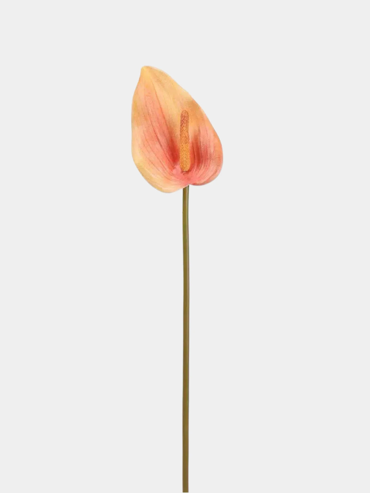 Real Touch Anthurium Flower Stem – 66 cm