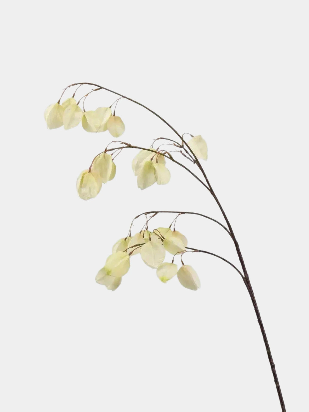 Faux Lantern Pod Branch – 88 cm