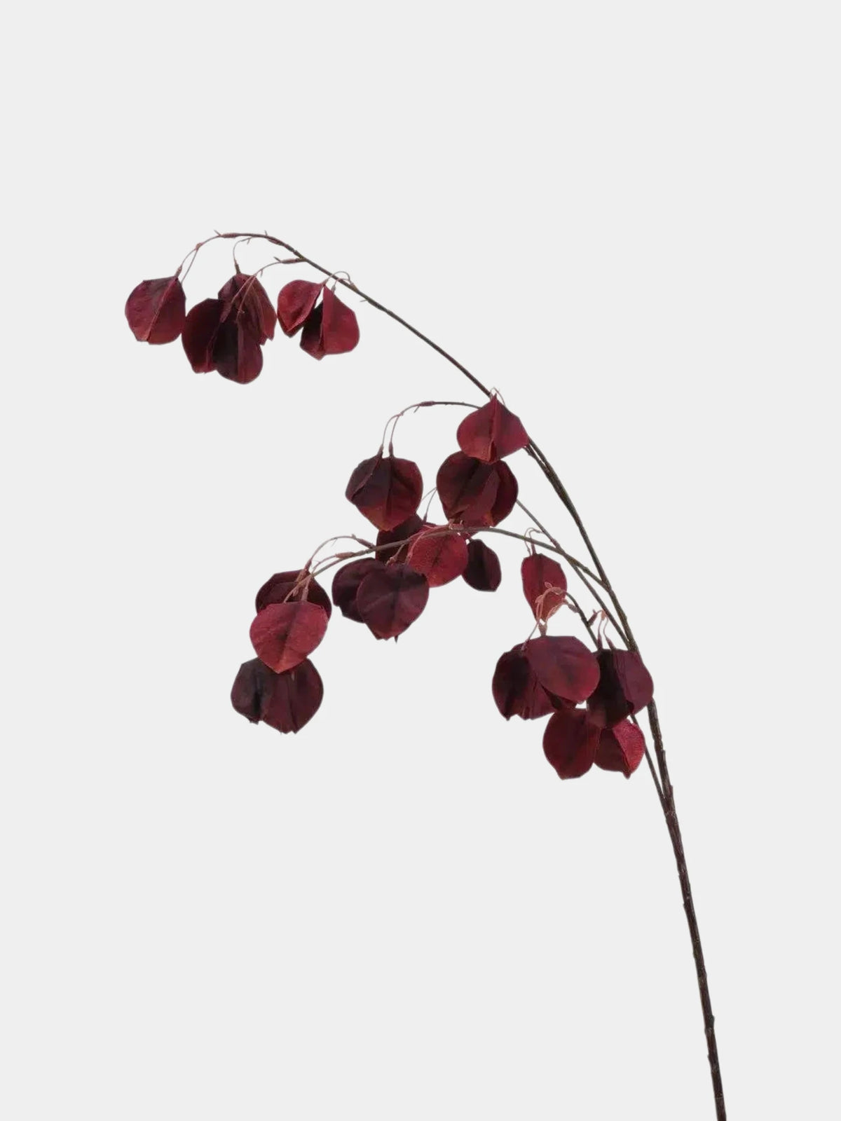 Faux Lantern Pod Branch – 88 cm