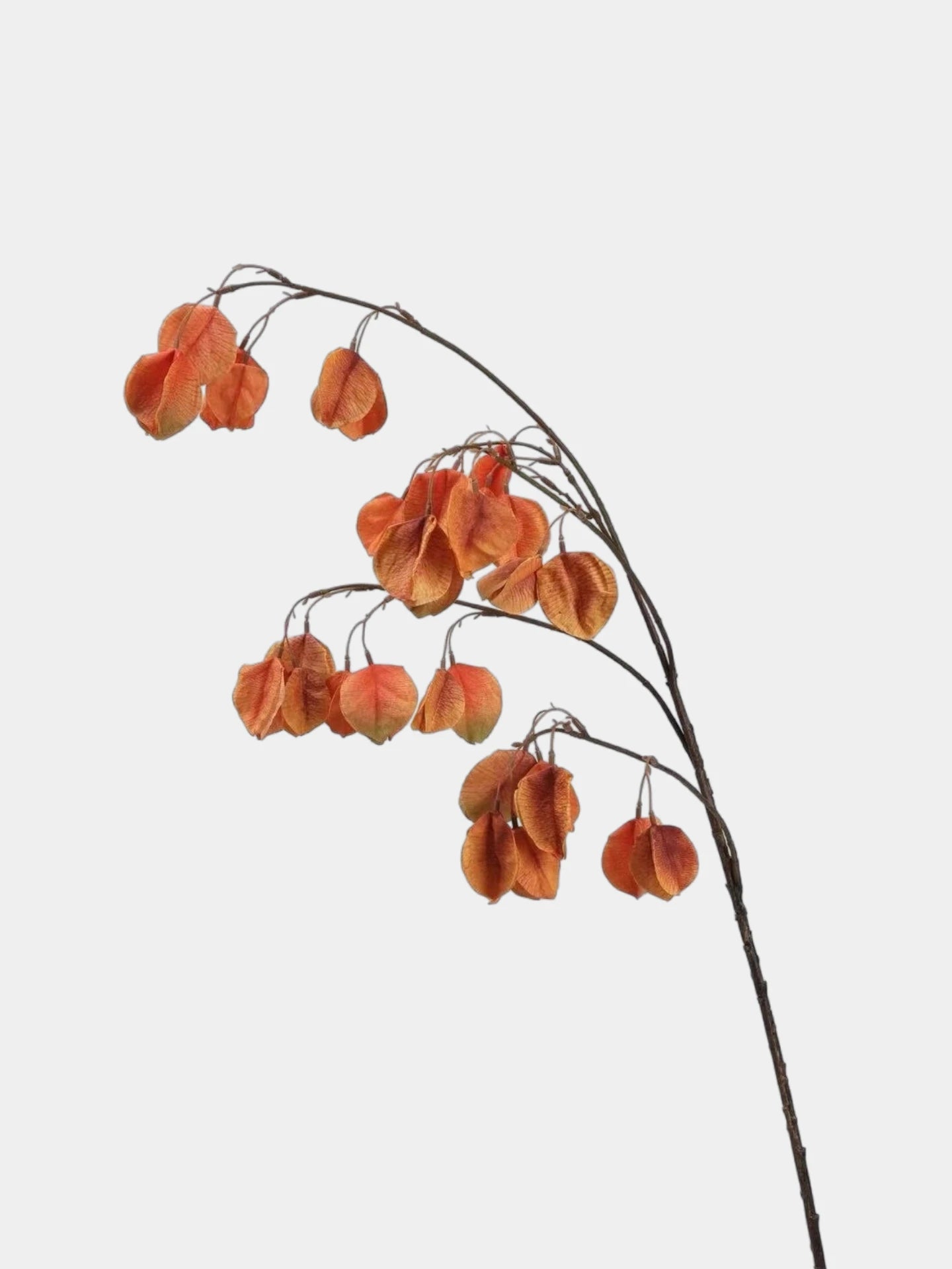 Faux Lantern Pod Branch – 88 cm