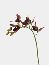 Faux Paphiopedilum Orchid Stem – 60 cm
