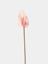 Real Touch Anthurium Flower Stem – 66 cm