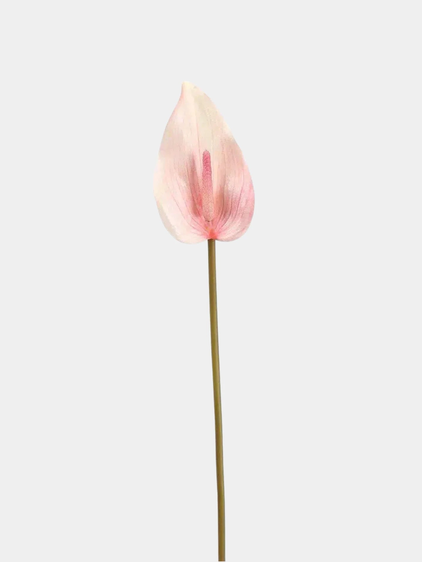 Real Touch Anthurium Flower Stem – 66 cm