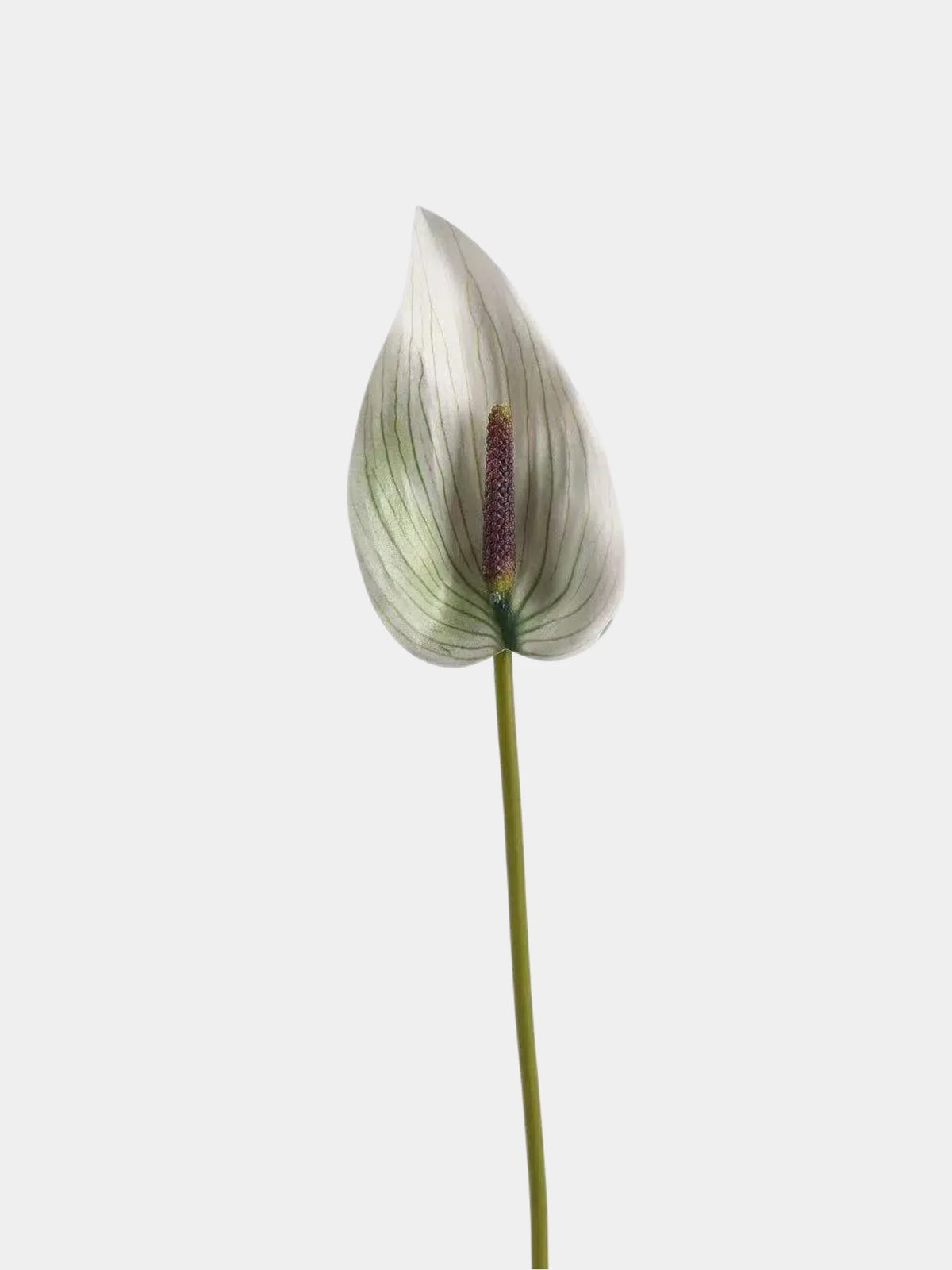 Real Touch Anthurium Flower Stem – 66 cm