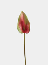 Real Touch Anthurium Flower Stem – 66 cm