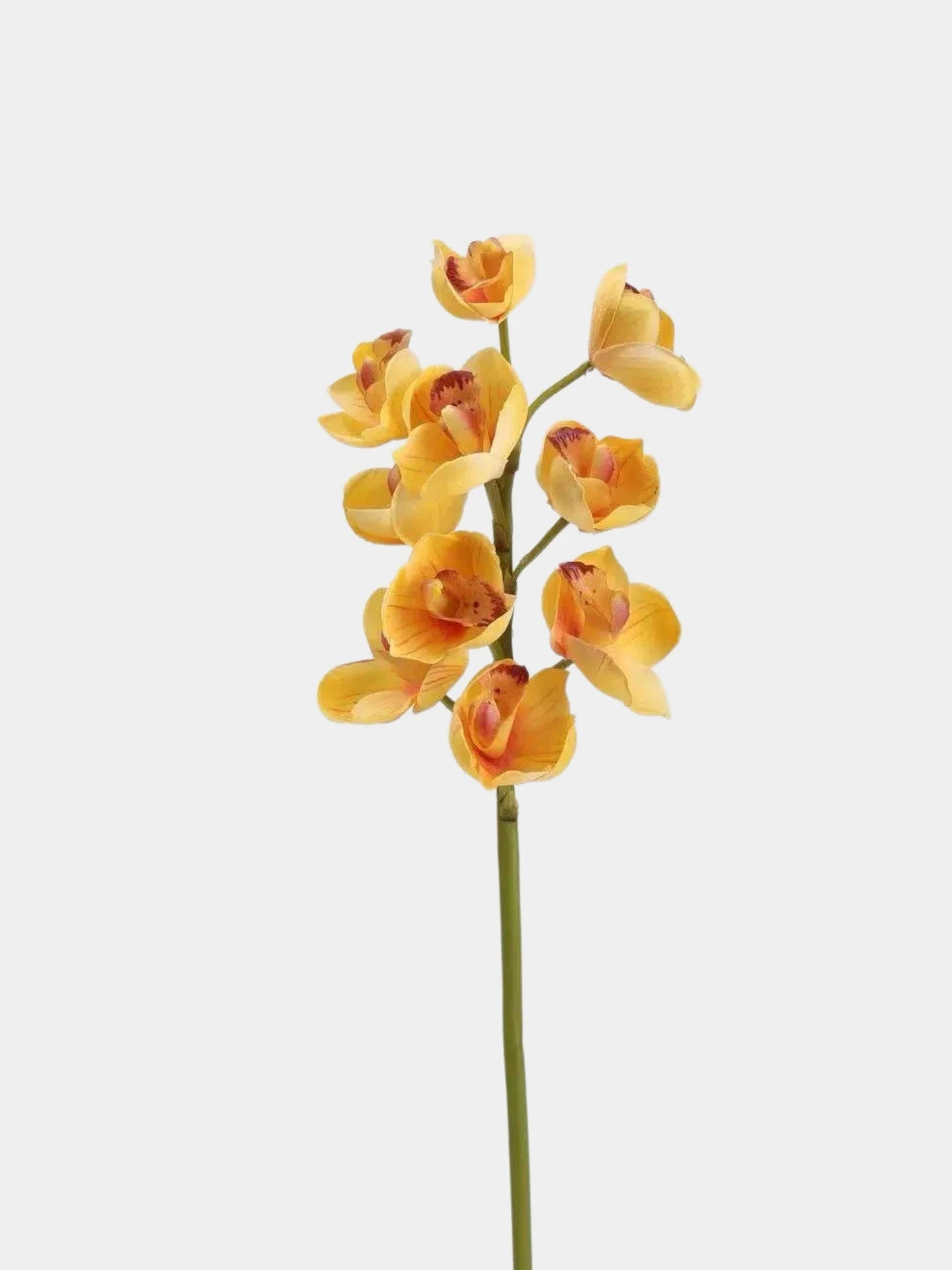 Faux Cymbidium Orchid Stem – 60 cm