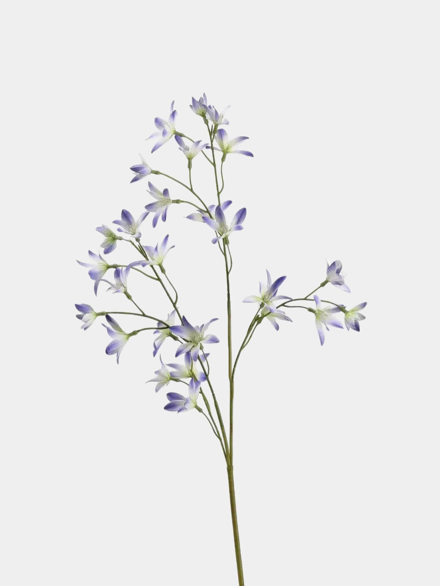 Faux Long Stem Rain Lily Spray – 88 cm