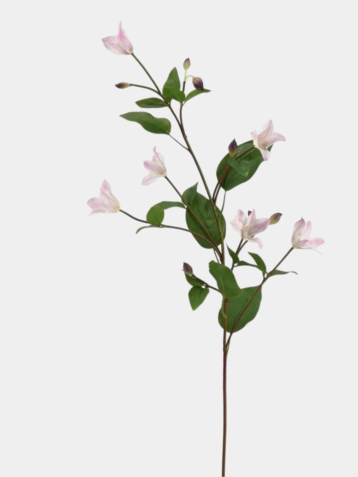 Real Touch Long Stem Clematis Flower Spray – 86 cm