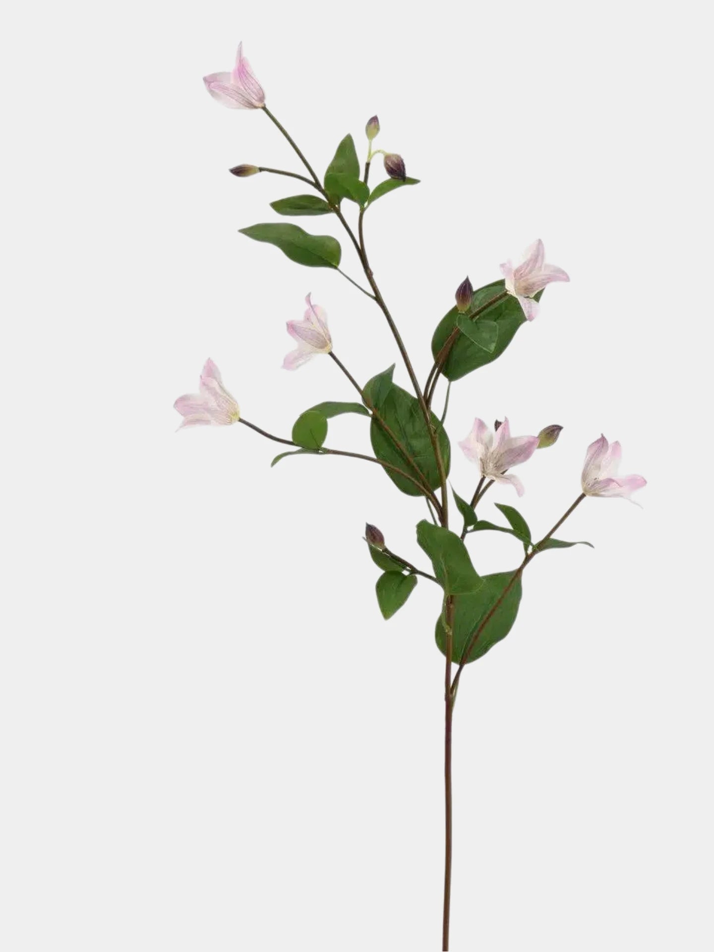 Real Touch Long Stem Clematis Flower Spray – 86 cm